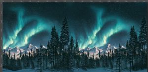Hovedbilde FT panel Nordlysnatt 80x165 cm